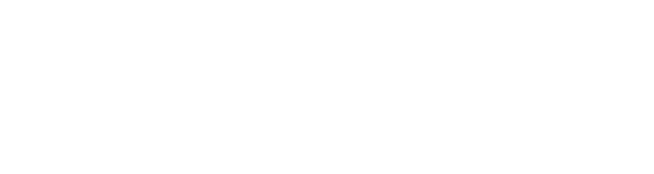 FILDs Bottom Logo